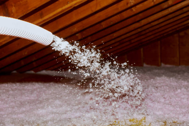 Best Cellulose Insulation in Cameron, TX