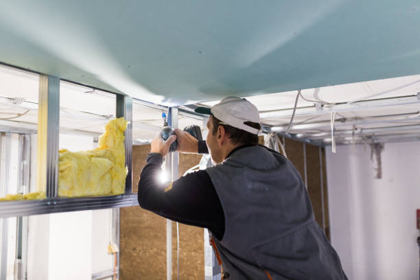 Types of Insulation We Offer in Cameron, TX