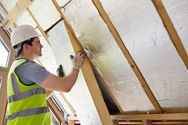 Best Commercial Insulation in Cameron, TX
