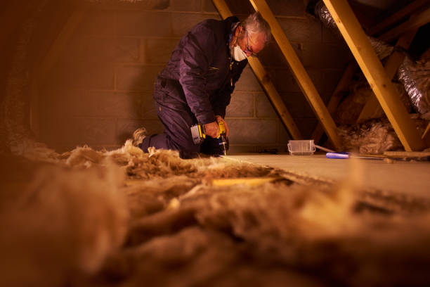 Best Eco-Friendly Insulation in Cameron, TX