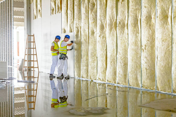 Best Geographic-Specific Insulation Services in Cameron, TX